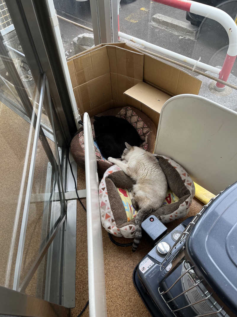 函館の変態サウナーさんの花園温泉のサ活写真