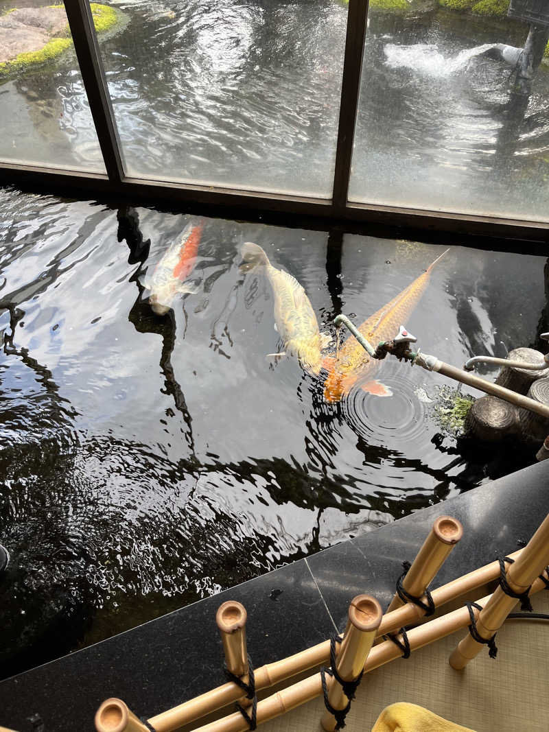 函館の変態サウナーさんの花園温泉のサ活写真