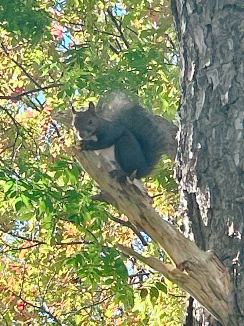 優さんの末広湯のサ活写真
