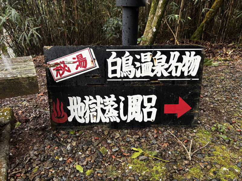 サウナスキヤジヴィッチさんの白鳥温泉上湯のサ活写真