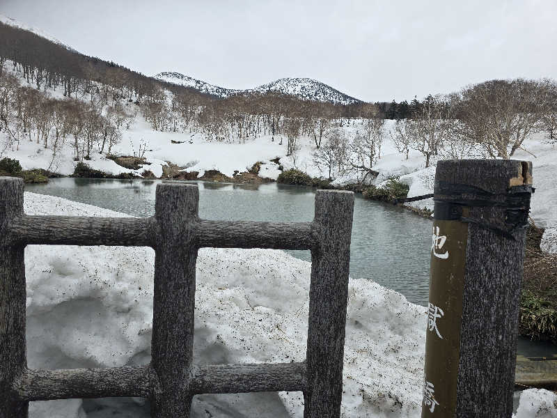 はなびぃさんの天間林温泉のサ活写真