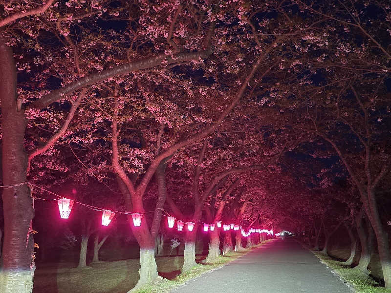 はなびぃさんの平内いきいき健康館(よごしやま温泉)のサ活写真