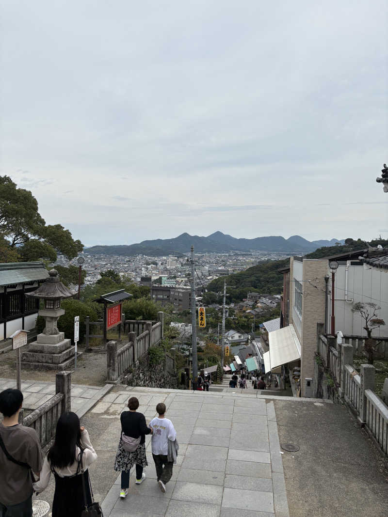 ストロングスタイルなっしーさんのエクストールイン高松のサ活写真