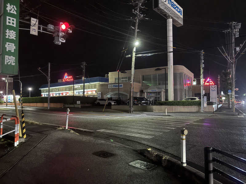 ストロングスタイルなっしーさんのスパ・アルプスのサ活写真