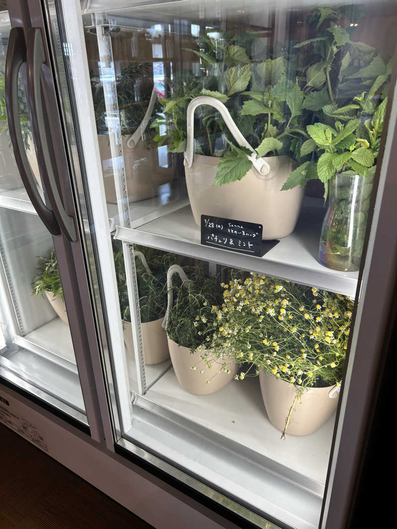 サバさんの岐阜各務原 恵みの湯のサ活写真