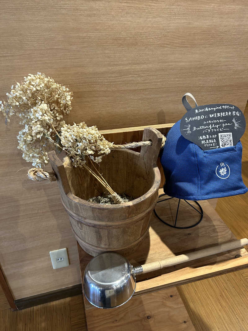 サバさんの岐阜各務原 恵みの湯のサ活写真