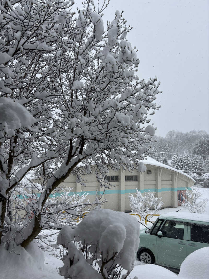 ばーちーさんの金ケ崎温泉駒子の湯のサ活写真