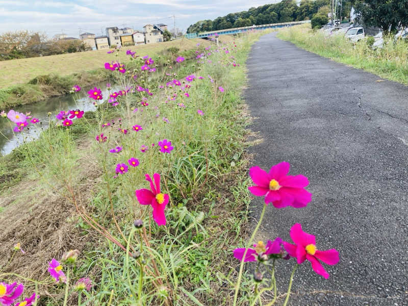 ぽぽみさんの天然温泉 真名井の湯 大井店のサ活写真
