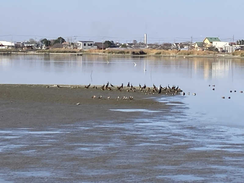 ぽぽみさんの天然温泉 真名井の湯 大井店のサ活写真