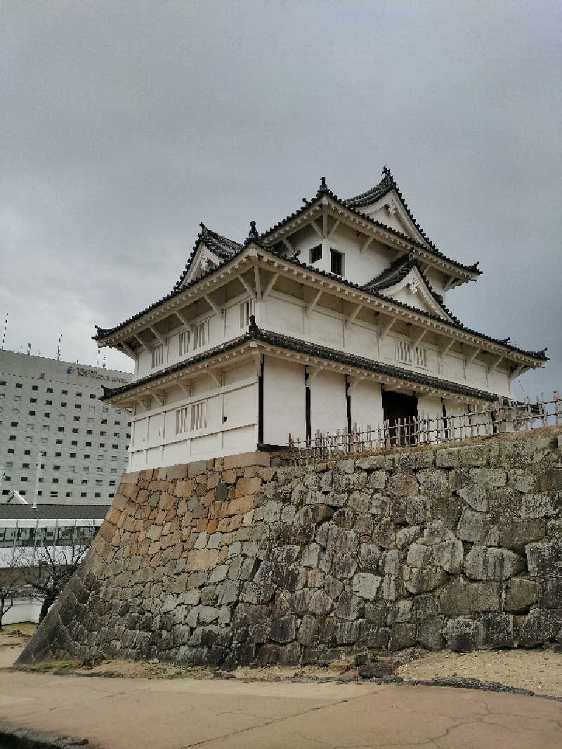 源泉かけ流しサウナーさんのカプセル&サウナ日本のサ活写真