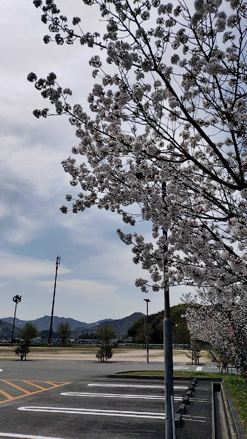 源泉かけ流しサウナーさんの姫路市はやしだ交流センター ゆたりんのサ活写真