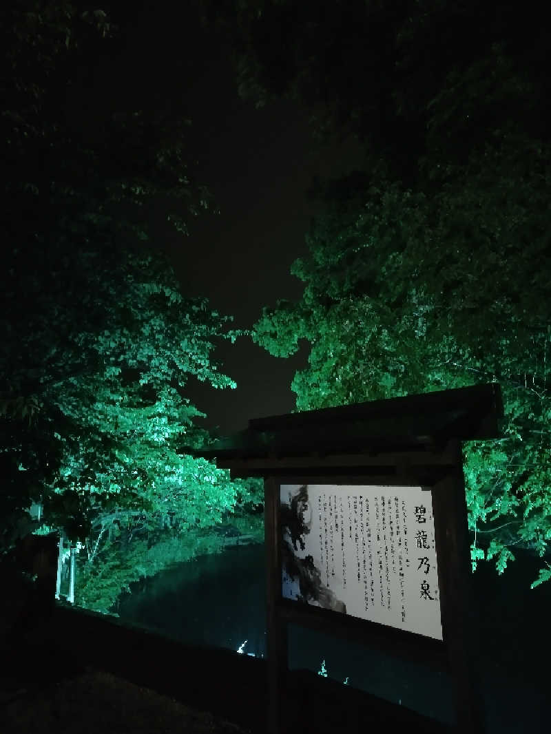 源泉かけ流しサウナーさんの南道後温泉ていれぎの湯のサ活写真