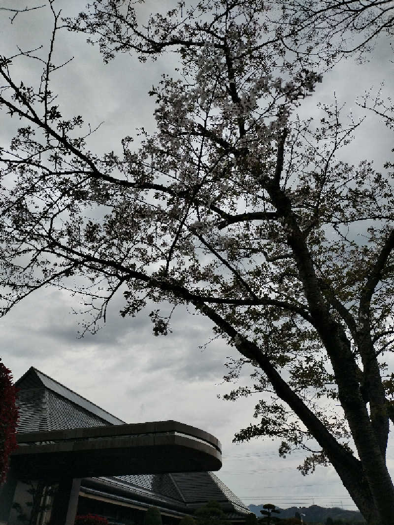 源泉かけ流しサウナーさんの東温市ふるさと交流館さくらの湯のサ活写真