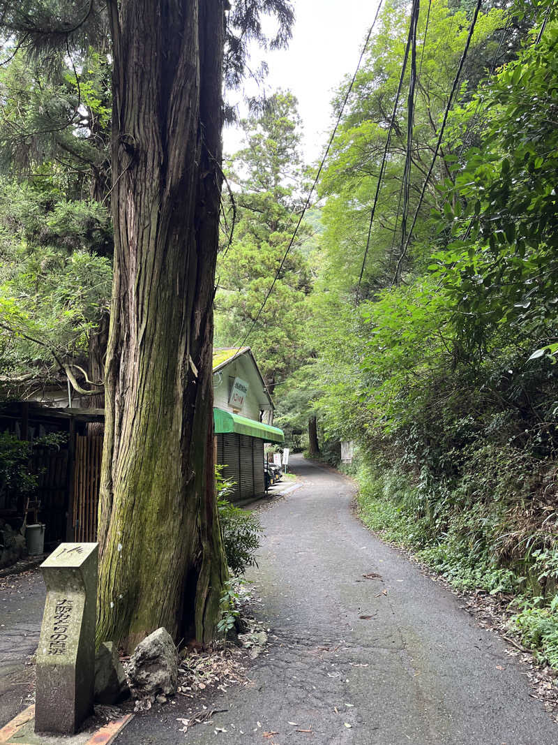 あさちゃんさんの神通温泉のサ活写真