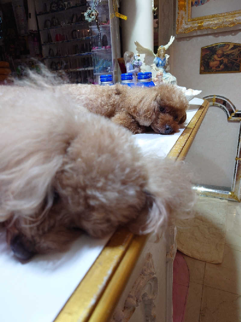 takashi 54さんのクアパレスのサ活写真