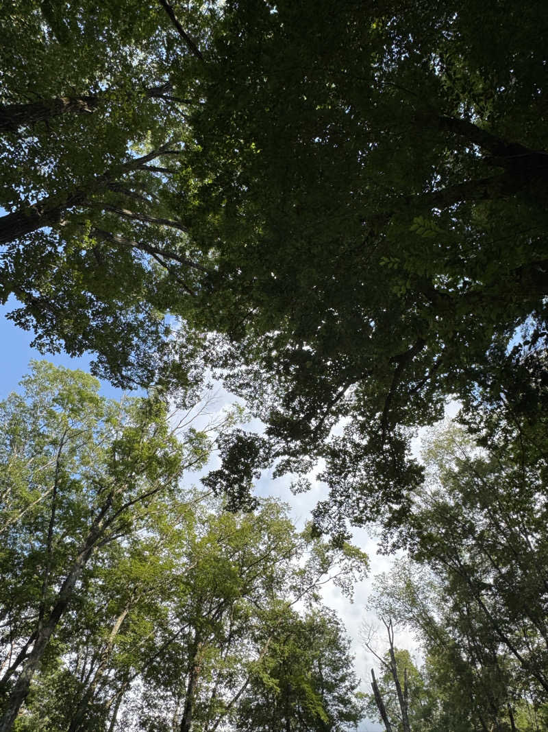 Motokickさんのこもれびサウナのサ活写真