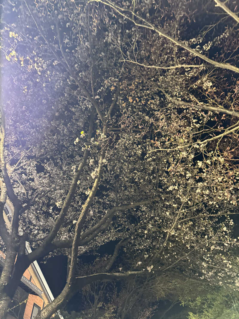 Motokickさんの林檎の湯屋 おぶ～のサ活写真