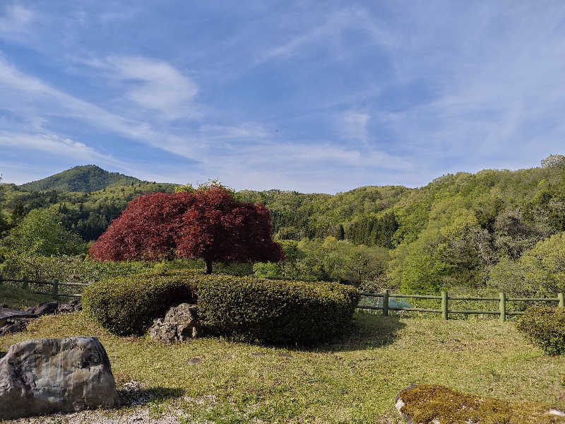 Marikoさんの山王山温泉 瑞泉郷のサ活写真