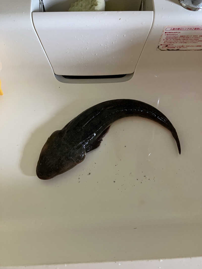 あっトム吉The drunken godさんのSOLA SPA 浜北温泉のサ活写真