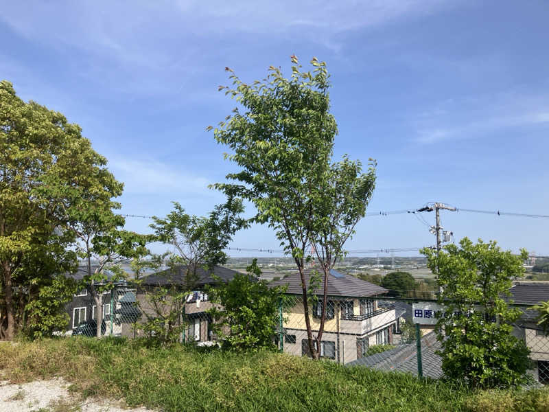 あっトム吉The drunken godさんの田原ゆの里のサ活写真