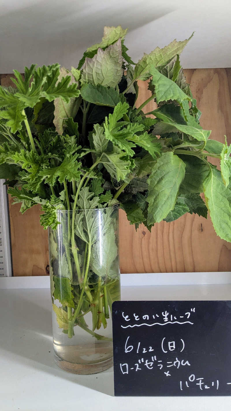 アマミ悦子🍋さんの岐阜各務原 恵みの湯のサ活写真