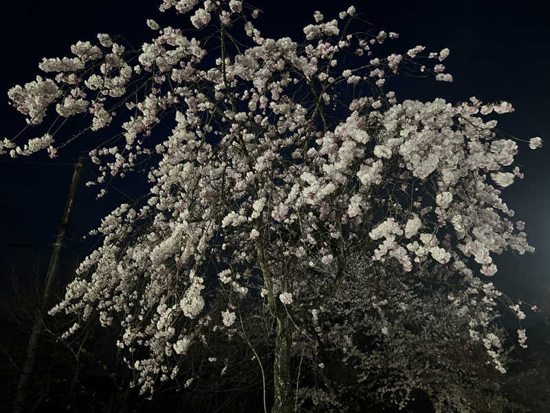 白うさぎさんの藤野やまなみ温泉のサ活写真