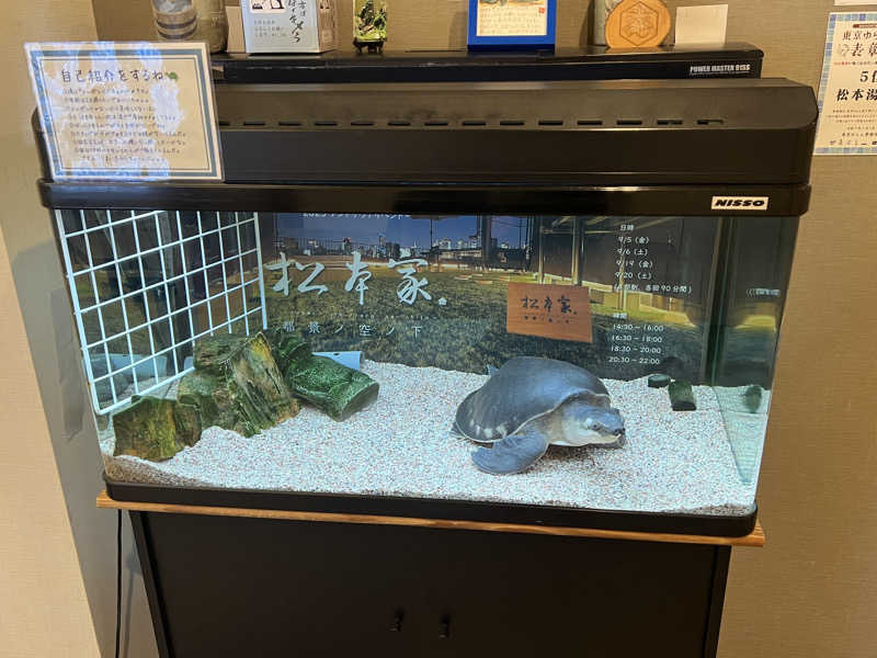 白うさぎさんの松本湯のサ活写真