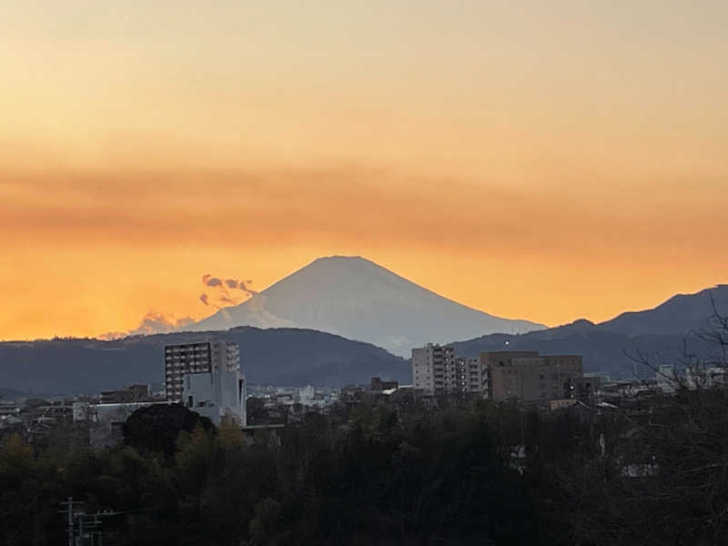 オトニャンさんの名水はだの富士見の湯のサ活写真