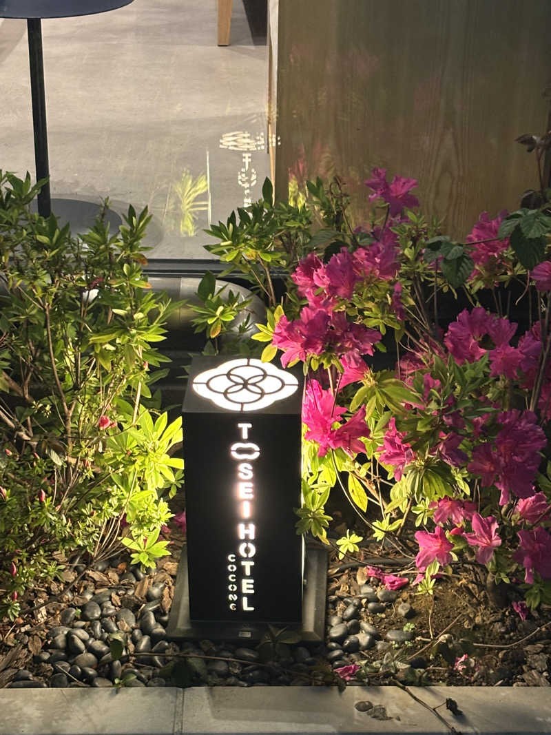 サウナ二郎さんのトーセイホテル ココネ築地銀座プレミアのサ活写真