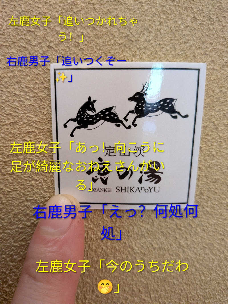 よっぴー（フリー熱波師）さんの定山渓 鹿の湯のサ活写真