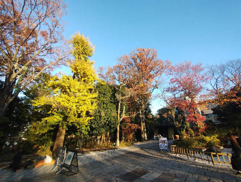 たか☆さんのよみうりランド眺望温泉 花景の湯のサ活写真