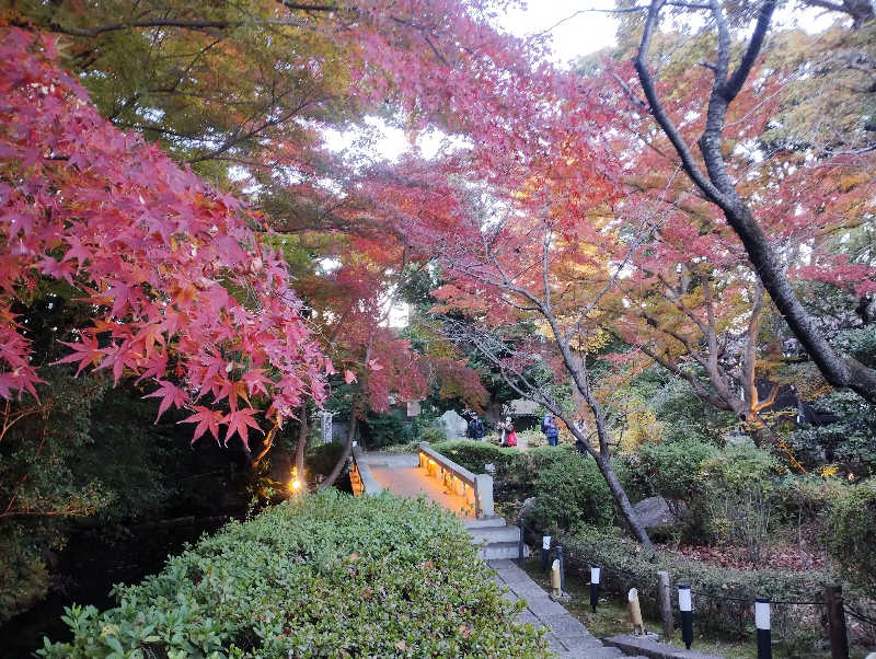 たか☆さんのよみうりランド眺望温泉 花景の湯のサ活写真