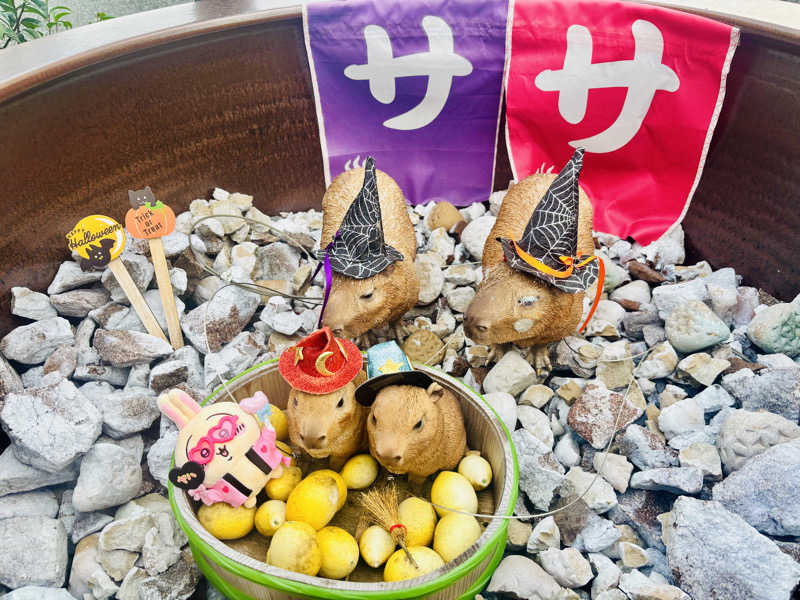 あみさんの富士山天然水SPA サウナ鷹の湯のサ活写真