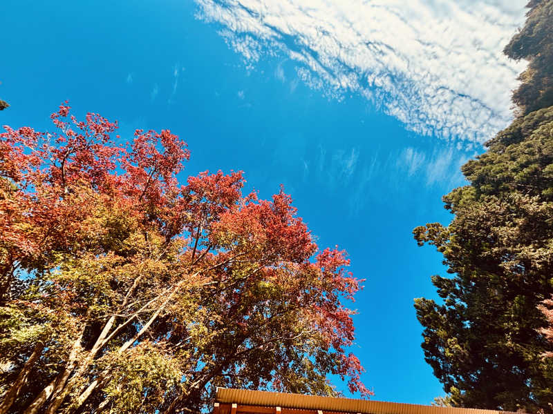 あみさんの天子荘 てんからハウスのサ活写真