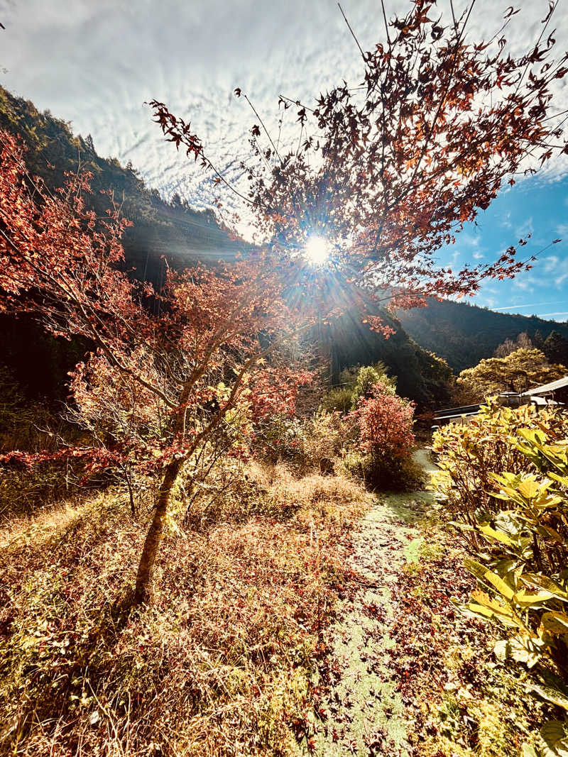 あみさんの天子荘 てんからハウスのサ活写真