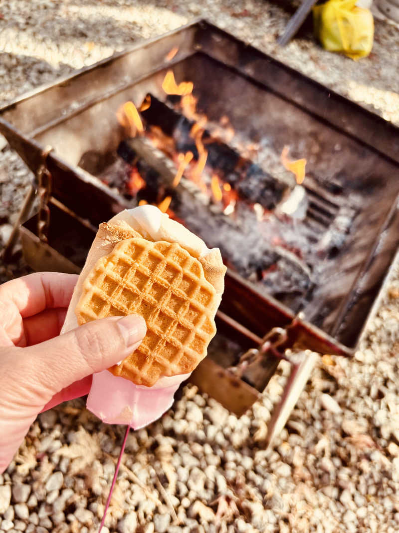 あみさんの天子荘 てんからハウスのサ活写真