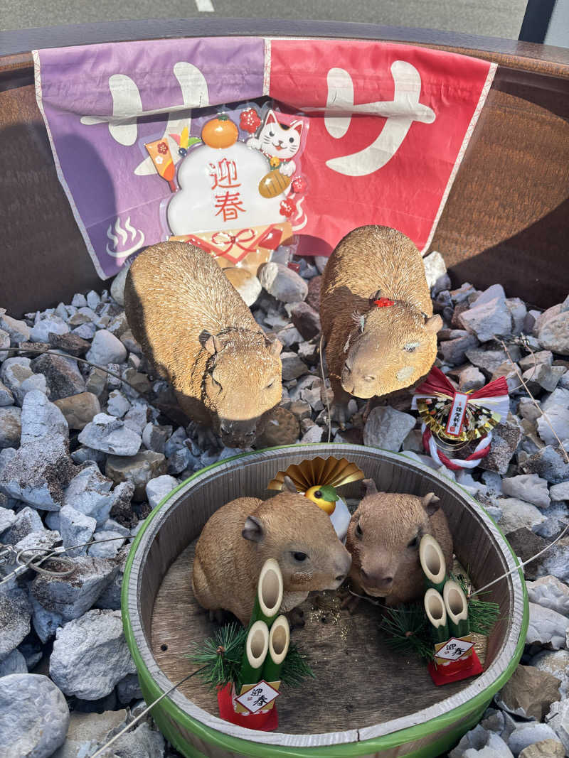 あみさんの富士山天然水SPA サウナ鷹の湯のサ活写真