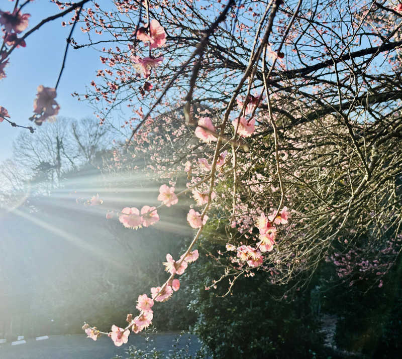 あみさんのふきさらし湯のサ活写真