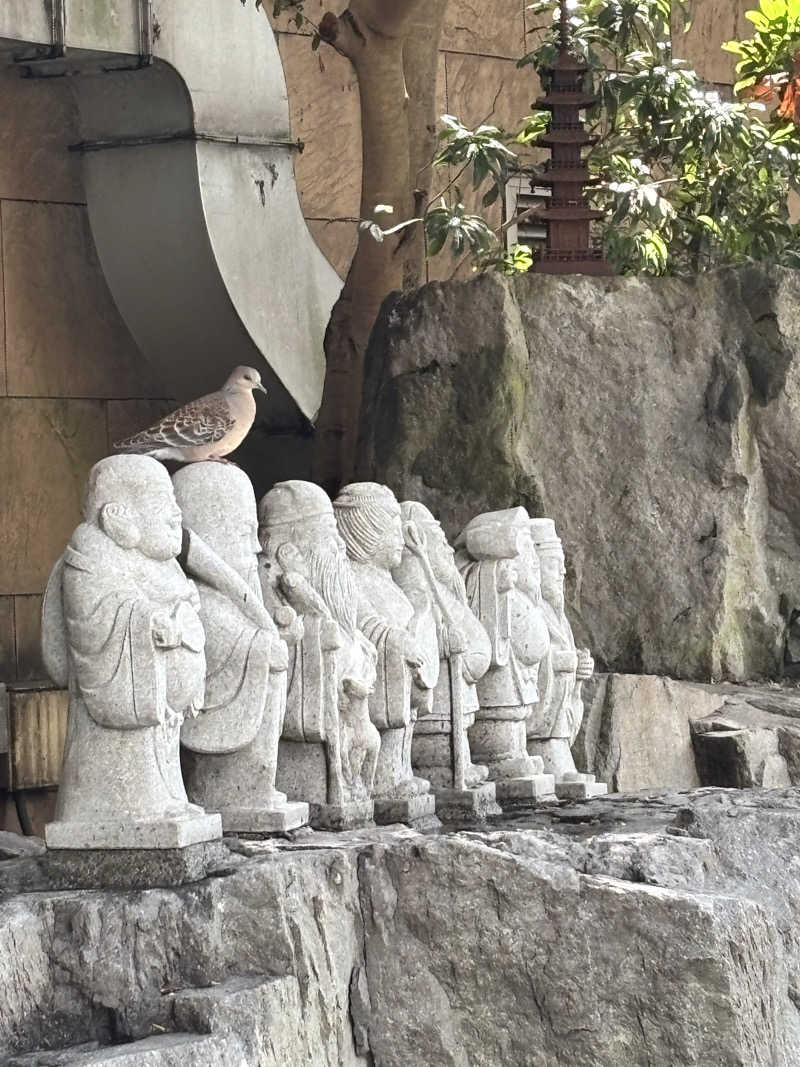 あみさんの駿河健康ランドのサ活写真