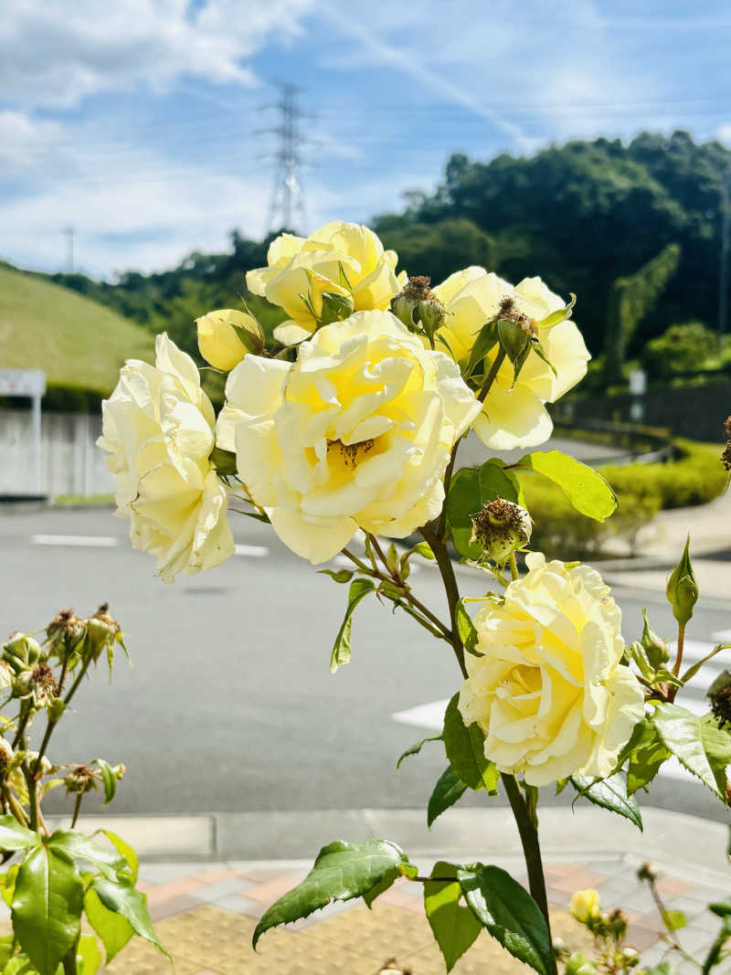 あみさんの富士市新環境クリーンセンター 循環啓発棟(ふじさんエコトピア・ふじかぐやの湯)のサ活写真