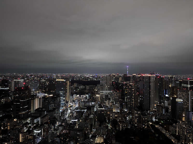 はじめFさんのザ・リッツ・カールトン スパ 東京のサ活写真