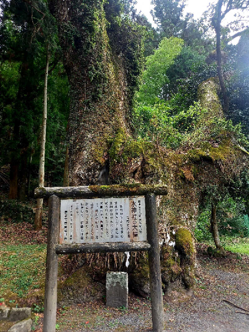 ゴマさんの畑冷泉館のサ活写真