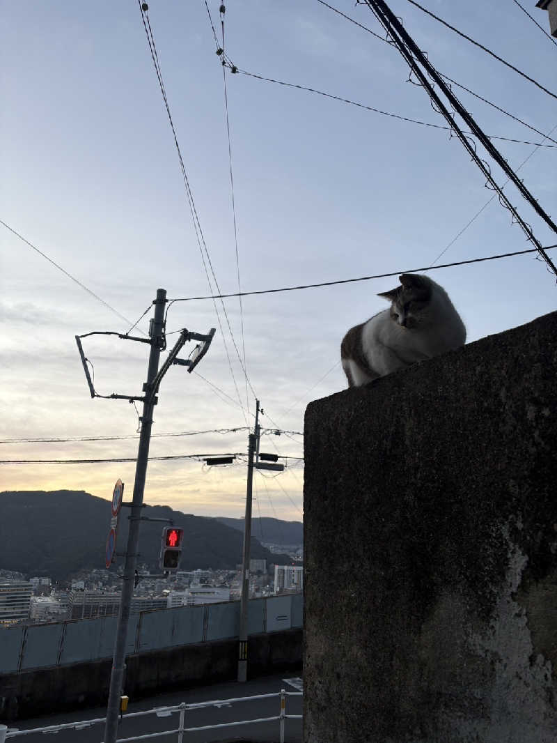 ゴマさんの長崎サウナかめやまのサ活写真