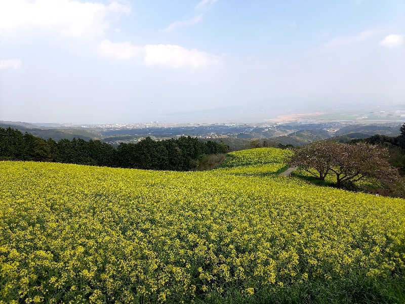 ゴマさんの大町温泉 ひじり乃湯のサ活写真