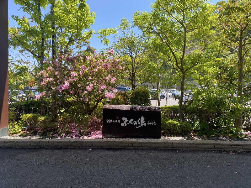 ゴマさんの稲佐山温泉ふくの湯のサ活写真