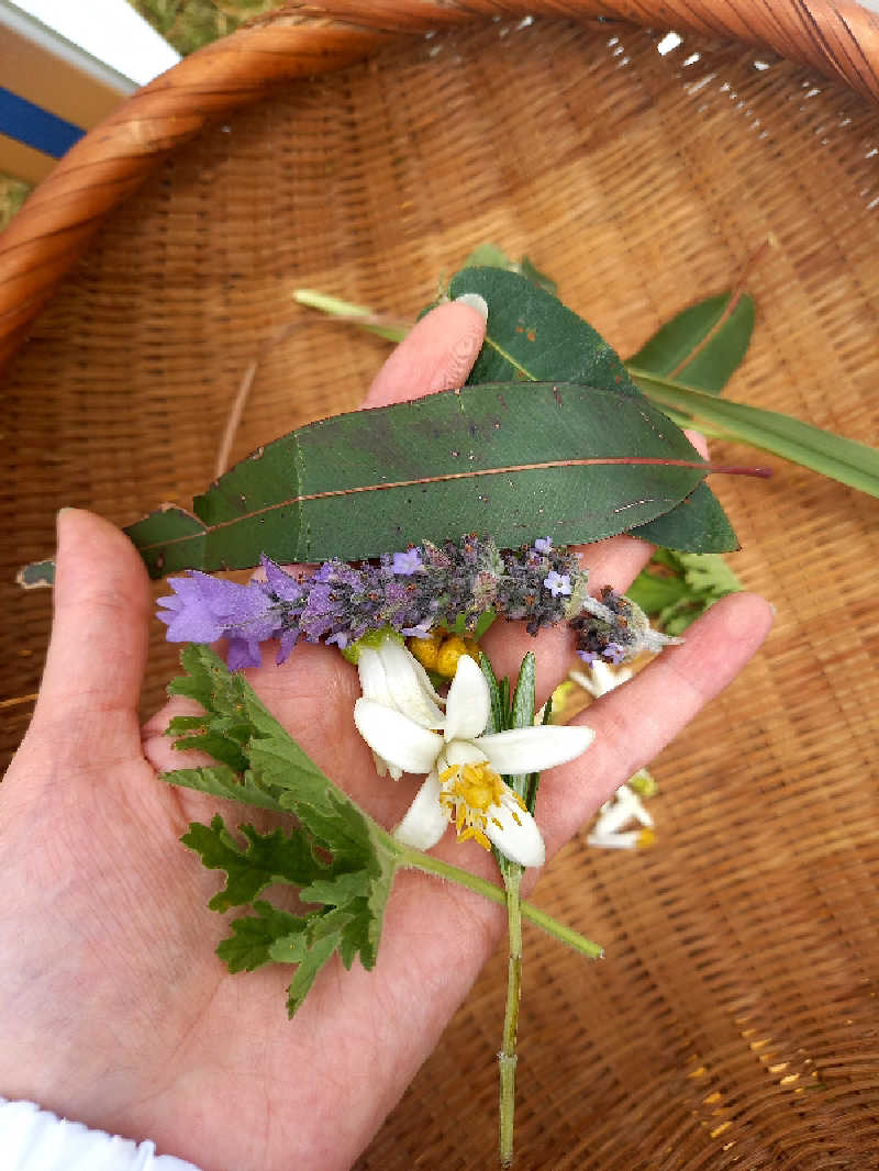 ゴマさんの清流と棚田の里のサ活写真