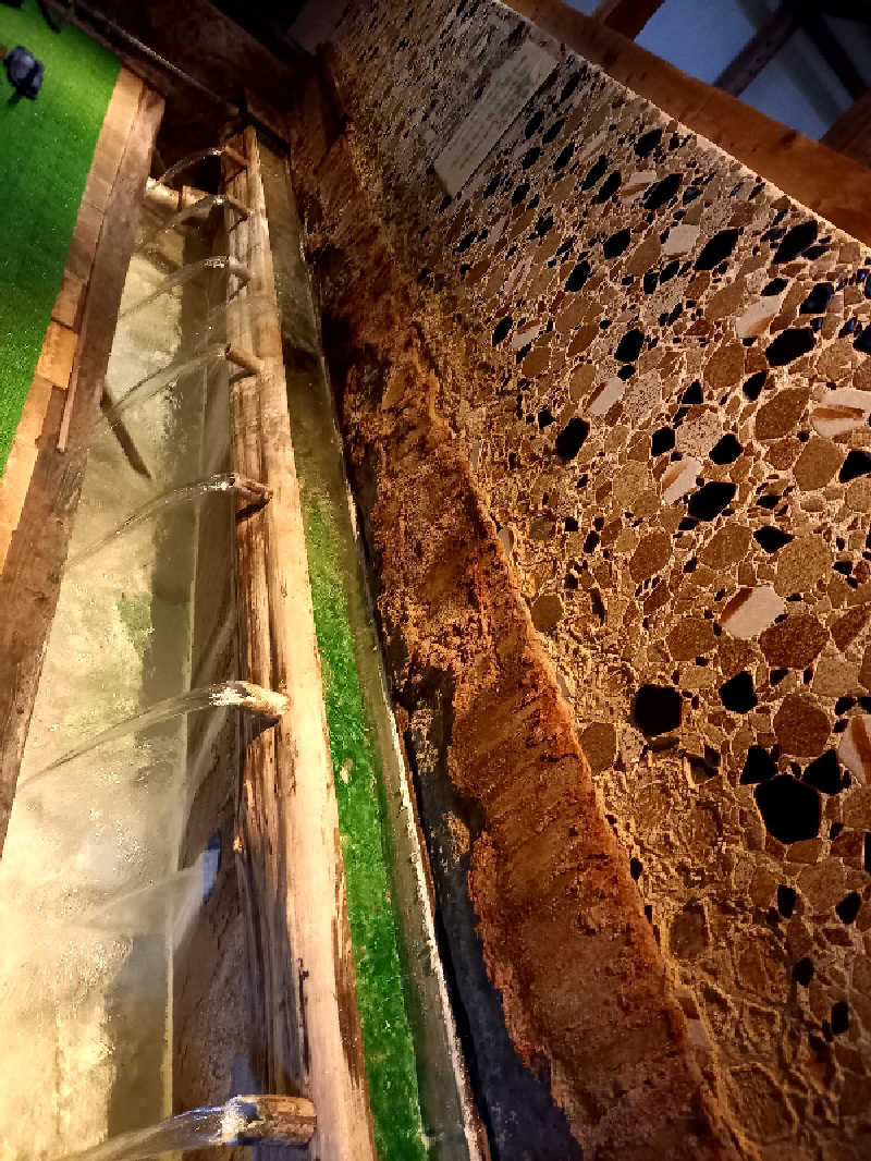 ゴマさんの寒の地獄旅館のサ活写真