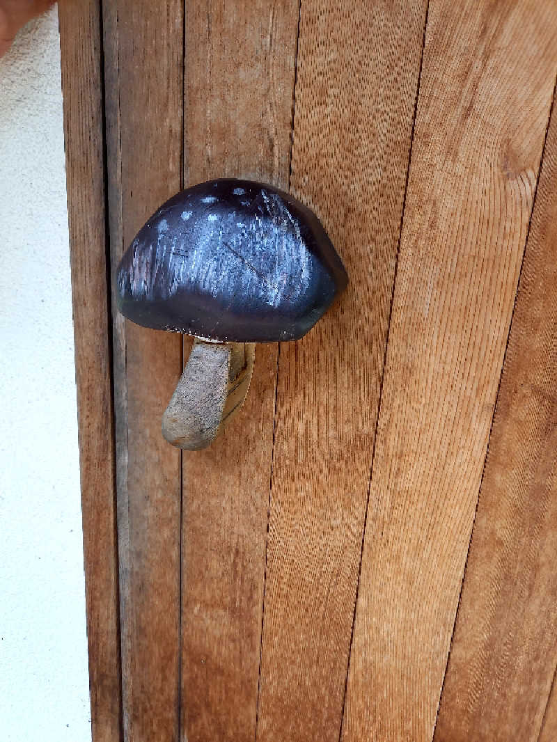 ゴマさんのロッジきよかわ - JOKI SAUNA -のサ活写真