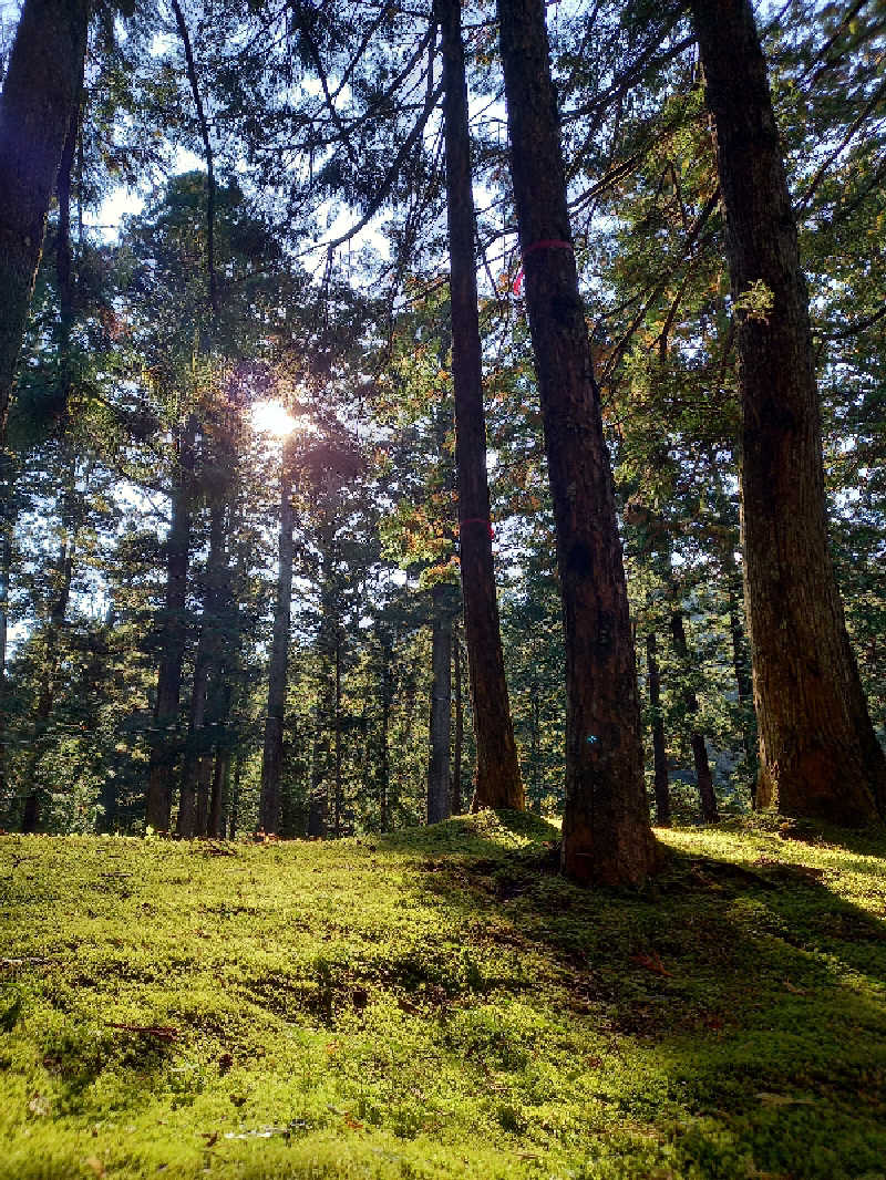 ゴマさんの宝湯のサ活写真