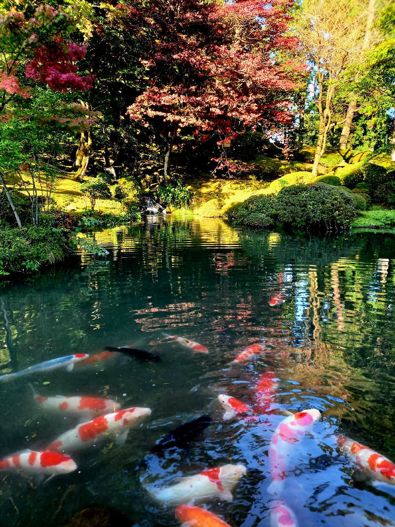 ゴマさんの宝湯のサ活写真
